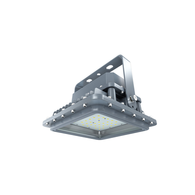 Atex Listed Explosion Proof Light 200w Waterproof รูปสี่เหลี่ยมผืนผ้าปั๊มน้ำมัน LIGHT D SERIES